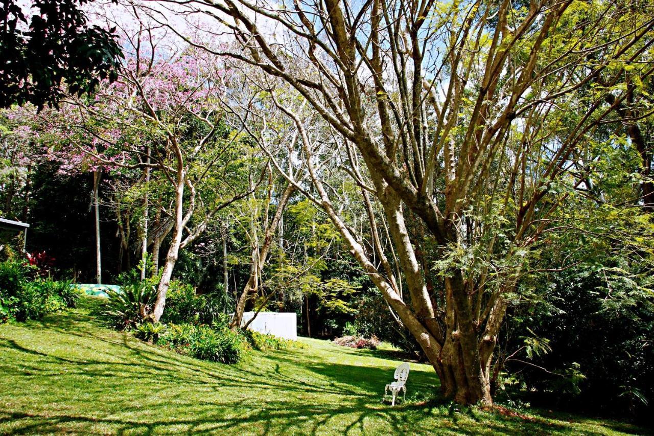 Maleny Monet Studio Kültér fotó