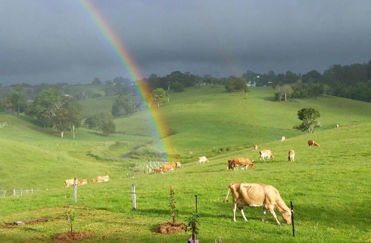 Maleny Monet Studio Kültér fotó